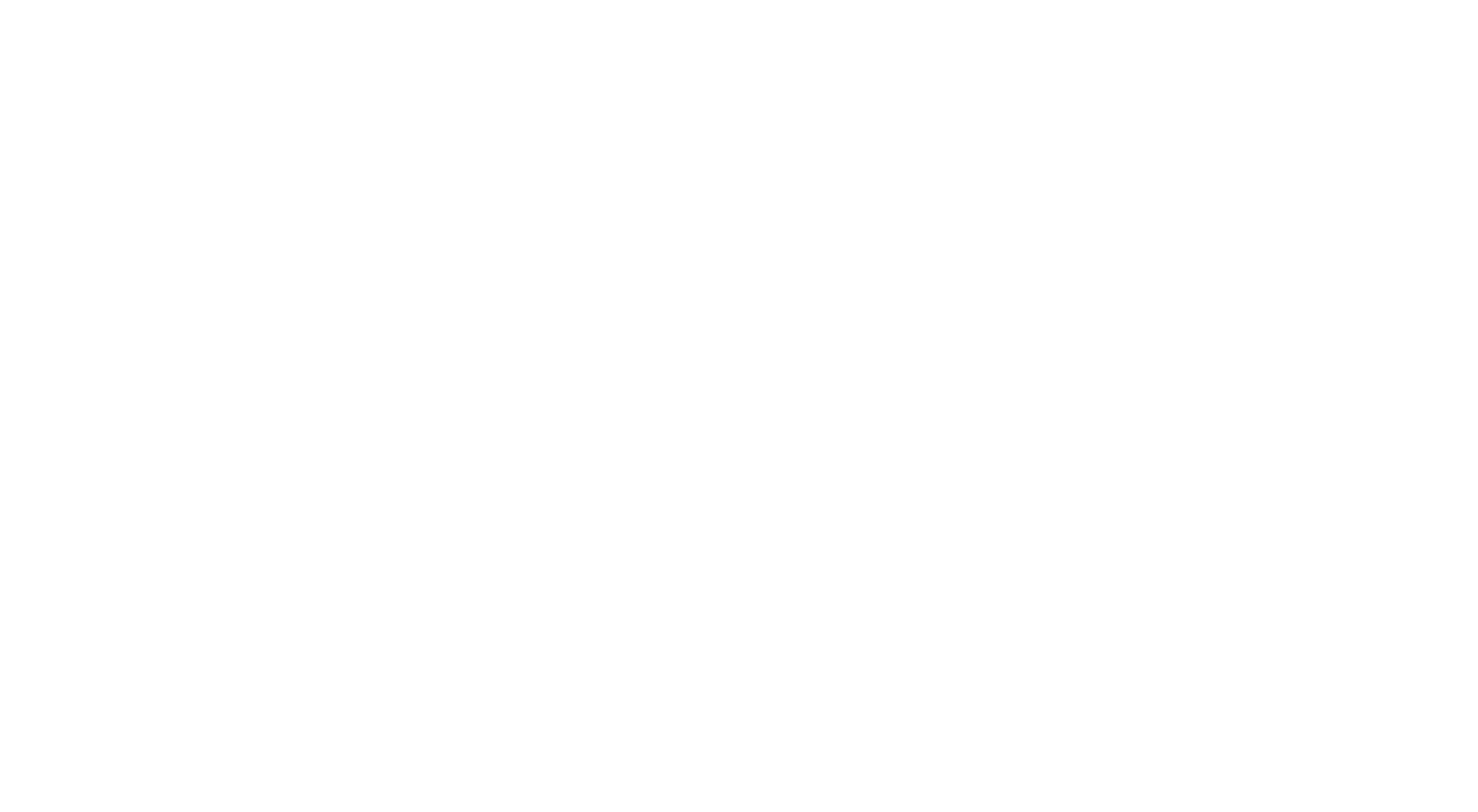 vibez_white-border.png